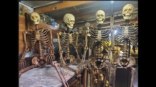 Aging 5ft Skeleton Tutorial [upl. by Elyad505]