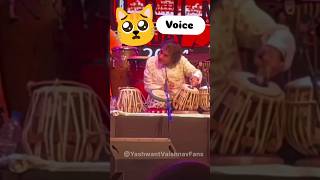 Tabla new video 📸 📷 Cat voice ustadzakirhussain funnytablaplayzakirhussain shortvideo [upl. by Sheilah]