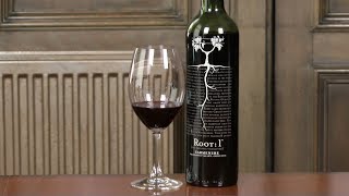 Vina Ventisquero Root 1 Carmenere 2016  wine review [upl. by Molohs509]