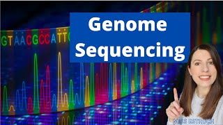 Using Genome Projects What is a genome and how can a sequenced genome be useful [upl. by Artemas881]