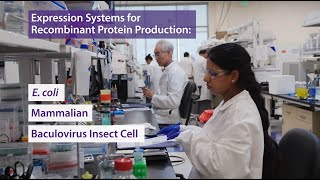 BioLegend Recombinant Proteins [upl. by Archibald]