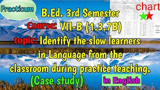 Case study Identify the slow learners in languagePrac BEd 3rd Sem Course VIIB137B 📖✍ [upl. by Kamin53]