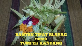 BANTEN TUMPEK KANDANG SEDERHANABANTEN TIPAT BLAYAG [upl. by Anaila]