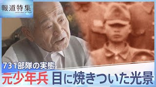 「標本室は目の開けられないくらい･･･」731部隊の実態、元少年兵の目に焼きついた光景【報道特集】  TBS NEWS DIG [upl. by Etteve372]