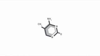 DNA methylation analysis by multiplexed reduced representation bisulfite sequencing RRBS [upl. by Westleigh]