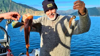 Hunting amp Fishing  DUrville Island in New Zealand [upl. by Aissatsan]