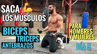 Ejercicios de BRAZOS entrena tus Bíceps Tríceps y Antebrazos 25 Min Rutina para SACAR LOS MUSCULOS [upl. by Fawn]