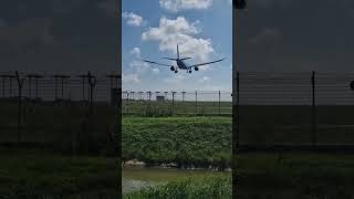 ITA Airways Airbus A330900 Landing at Roma Fiumicino itaairways airbusa330neo [upl. by Yadnus729]