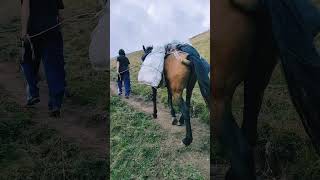 GRUZJA  KAZBEGI  KAUKAZ WYSOKI  ZUCHY W PODRÓŻY [upl. by Eteragram]