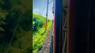 train traveltravel indianrailways traintraveler railway travelingsong travel traintravel au [upl. by Eissed]