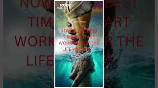 D Root Tamil  MOTIVATIONAL  shortvideo shortvideo motivationalquotes motivationalquotes [upl. by Samot]