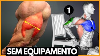 TREINO DE TRICEPS EM CASA E SEM EQUIPAMENTOS HALTERES [upl. by Demha268]