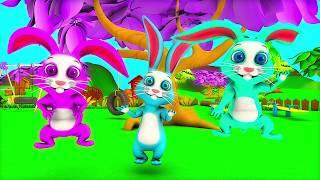 The Bunny Song  Kindergarten Nursery Rhyme amp Song for Kids [upl. by Hollinger]