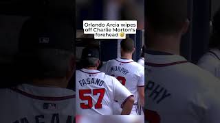 Orlando Arcia wipes off Charlie Mortons forehead after another strong outing 😅 shorts [upl. by Ycnan]