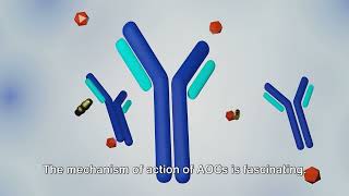 Unraveling the Power of AntibodyOligonucleotide Conjugates [upl. by Nettle840]