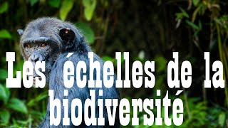 Capsule  quotLes échelles de la biodiversitéquot [upl. by Yatnahc190]