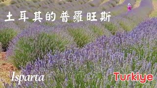 土耳其薰衣草之旅：伊斯帕爾塔Isparta．土耳其的普羅旺斯【2024 Jul土耳其之旅】TürkiyeEP 1 [upl. by Nickolaus]