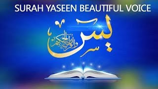 Surah Yaseen 16D Audio🎧  Beautiful Heart Touching Voice [upl. by Vernen711]