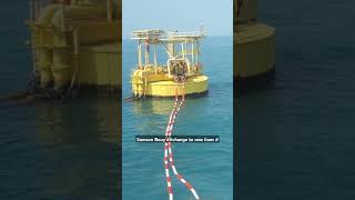 New chain rope houserchange SPM somson Boyesand relies the bouys 😱 [upl. by Friedland]