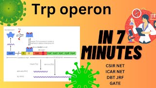 Trp operon  Tryptophan operon  Repressible operon  Prokaryotic Gene Regulation  CSIRNET  GATE [upl. by Romney826]