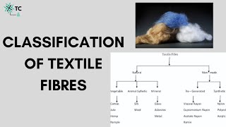 Classification of Textile Fibres Explained [upl. by Egin]