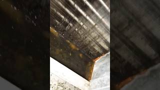 Stagnant Condensate Water from Air conditioning unit accleaning airconditioningmaintenance [upl. by Anali627]