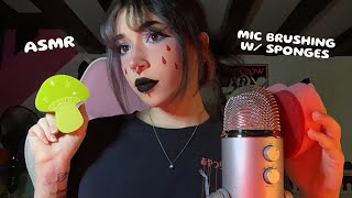 Mic Brushing With Sponges ASMR  Sponge Sounds Scratching Minimal Whispering [upl. by Viquelia173]