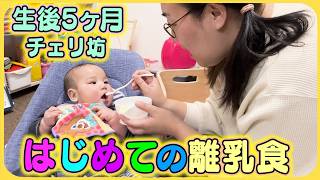 【生後５ヶ月🌟】チェリ坊初離乳食❣️意外な反応は☺️ [upl. by Wulf]