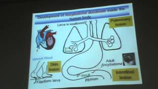 Dr Azza Helminths Nematodes 3 Ancylostoma Duodenale amp Trichostrongylus Colubriformis YouTub [upl. by Aber]