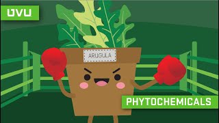 Phytochemicals Explained in Under 2 Minutes [upl. by Adnovaj241]