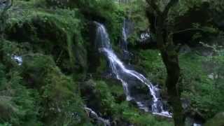 Rando en Auvergne  Le Sancy Chamois Grande Cascade Chaudefour Chambon des neiges Le MontDore [upl. by Mulloy]