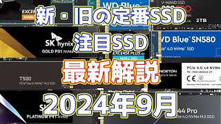 NVMe SSD 新旧の定番・注目モデルの最新状況まとめ解説。オススメもわかる！ 2024年9月 [upl. by Adnema]