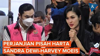 Sandra Dewi Punya Perjanjian Pisah Harta dengan Harvey Moeis [upl. by Kassi374]