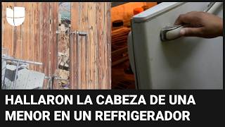 Hallaron una cabeza en el congelador de su nueva casa era de una joven vista por última vez en 2005 [upl. by Mick284]