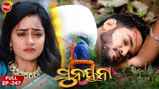 ସୁନୟନା  SUNAYANA  Full Episode 247  Odia Mega Serial on Sidharth TV 730PM [upl. by Ulane677]