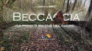 Beccacce 2024 la prima ti rimane nel cuore La regina nel sole 4 K [upl. by Stacia126]