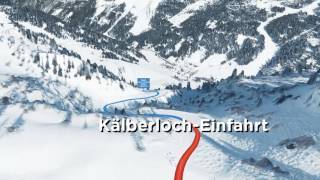 3D Visualisierung der Ski Weltcup Strecke Zauchensee [upl. by Saihtam]