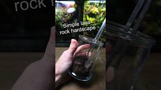 How To Make a Terrarium [upl. by Lowndes182]