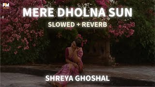 MERE DHOLNA  SLOWED amp REVERB  SHREYA GHOSHAL  AMI JE TOMAR  PRAYZZ MUSIC [upl. by Cherilyn]