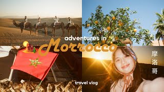 🌵adventures in morocco 🏜️ 非洲摩洛哥之旅🇲🇦  Marrakech camping in Agafay dessert 是人生的冒险旅程🕶️🗺️ [upl. by Earleen144]