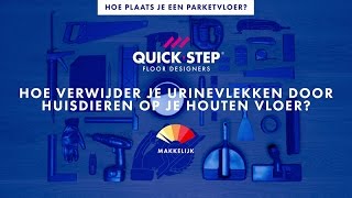 Hoe verwijder je urinevlekken door huisdieren op je houten vloer  QuickSteptutorial [upl. by Madelin799]