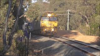 7901V at Maryborough Sat 12 October 2024 [upl. by Anayaran]