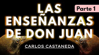 LAS ENSEÑANZAS DE DON JUAN  C Castaneda  Parte 1  Audiolibro completo en español  Voz humana [upl. by Miyasawa]