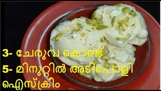 Vanilla Ice Cream  വാനില ഐസ് ക്രീം 3 ingredients only [upl. by Katya]