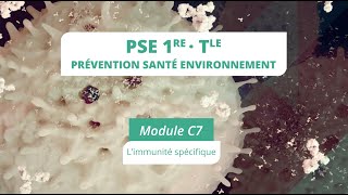 PSE module C7 bis  Limmunité spécifique [upl. by Ylevol187]