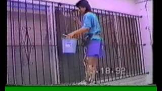 complete paraplegic using Parastep electrical stimulation climbs wall [upl. by Bell]