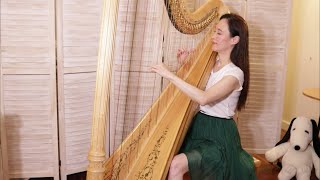 Bach • Arioso  巴赫 • 詠嘆調 Harp cover 豎琴演奏 [upl. by Urbannal]