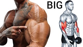 Best Superset Bicep Tricep Workout for Mass [upl. by Neilla679]