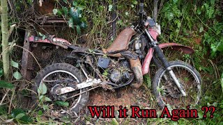 Full Restoration a abandoned Suzuki TS125X Motorcycle [upl. by Pascal]