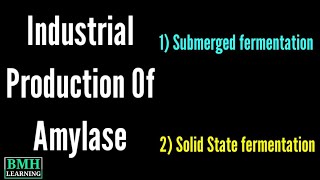 Production Of Amylase  Industrial amp Microbial Production Of Amylase  How Amylase Is Produced [upl. by Graaf]